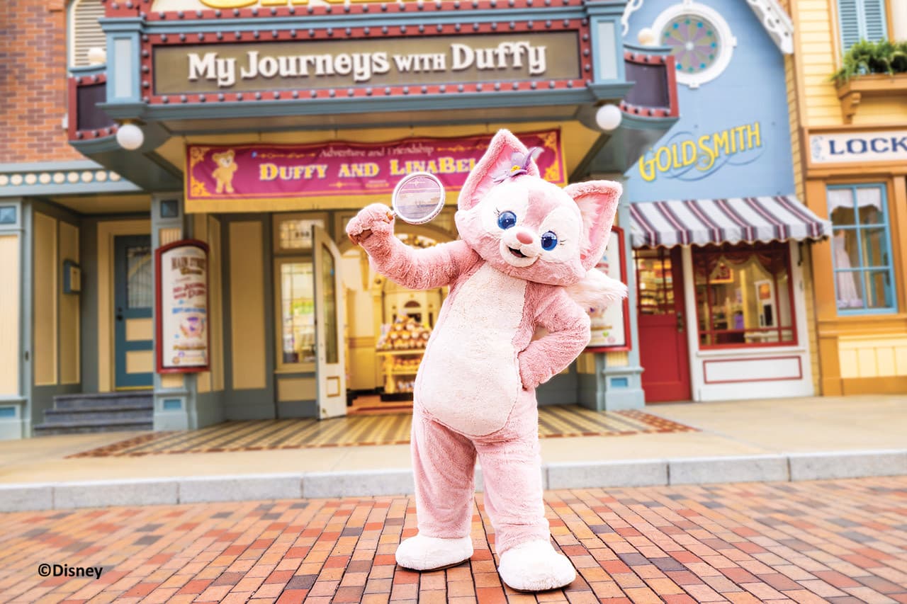 Hong Kong Disneyland Disney Premier Access Ticket - სურათი 51