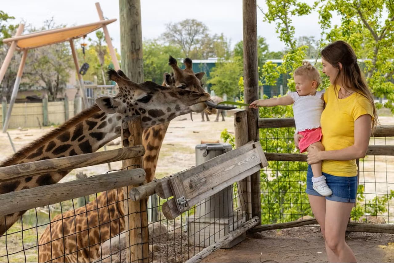 ZooTampa at Lowry Park Ticket - სურათი 2