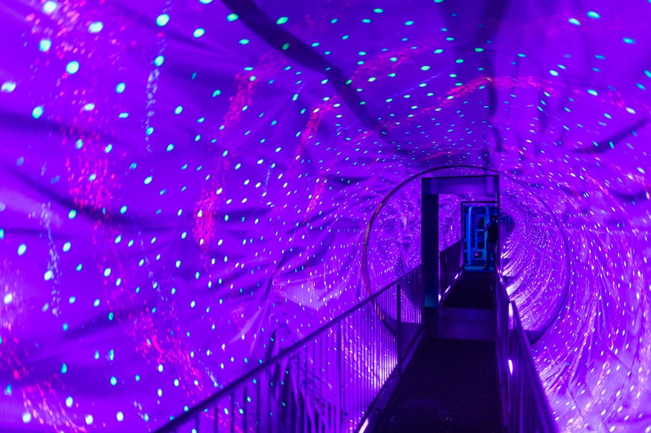 Ripley's Believe It or Not! Amsterdam - სურათი 4