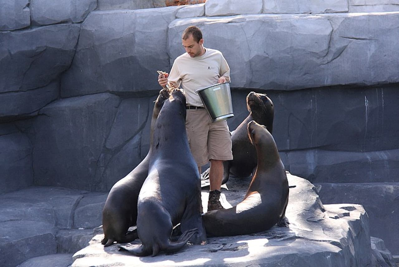 Paris Zoo (Parc Zoologique de Paris) - მთავარი სურათი