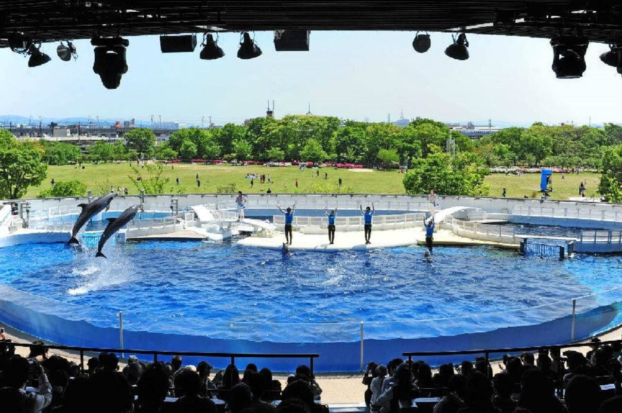 Kyoto Aquarium Ticket - სურათი 11