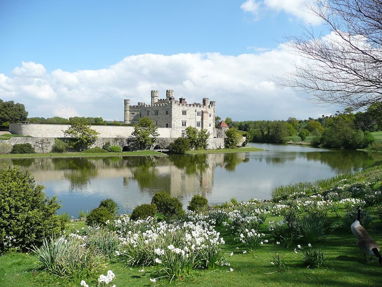 Leeds Castle, Canterbury, Dover, and Greenwich Tour from London - სურათი 2