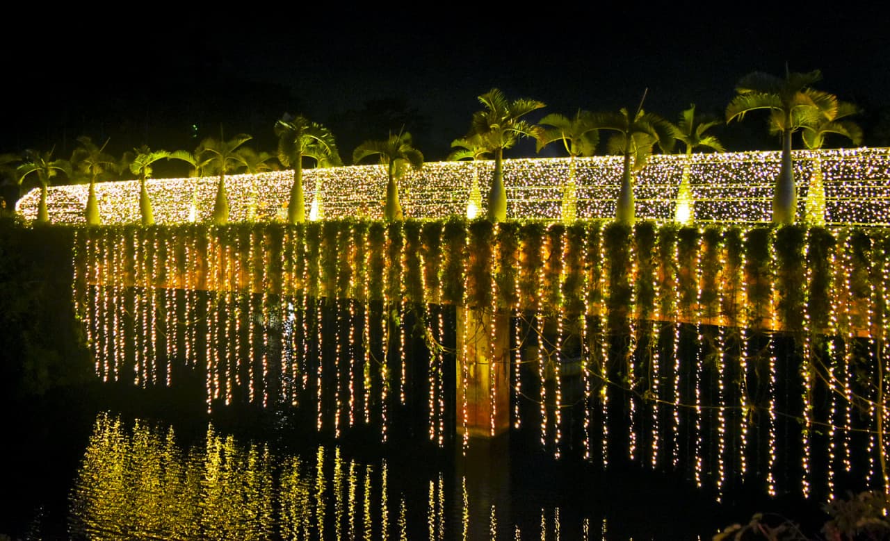 Okinawa Southeast Botanical Gardens - სურათი 21