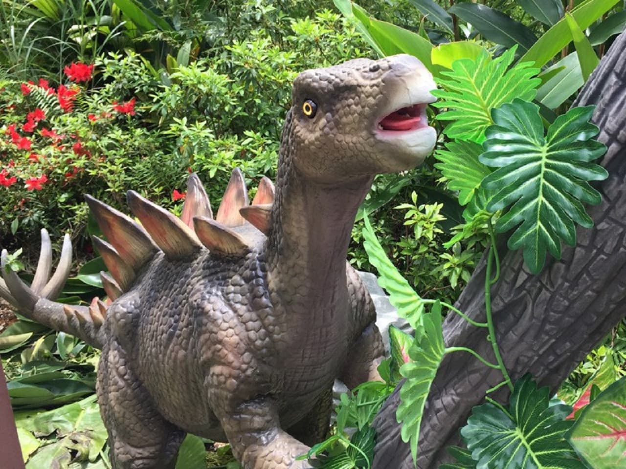 Okinawa Dino Park Yanbaru Subtropical Forest Ticket - სურათი 3