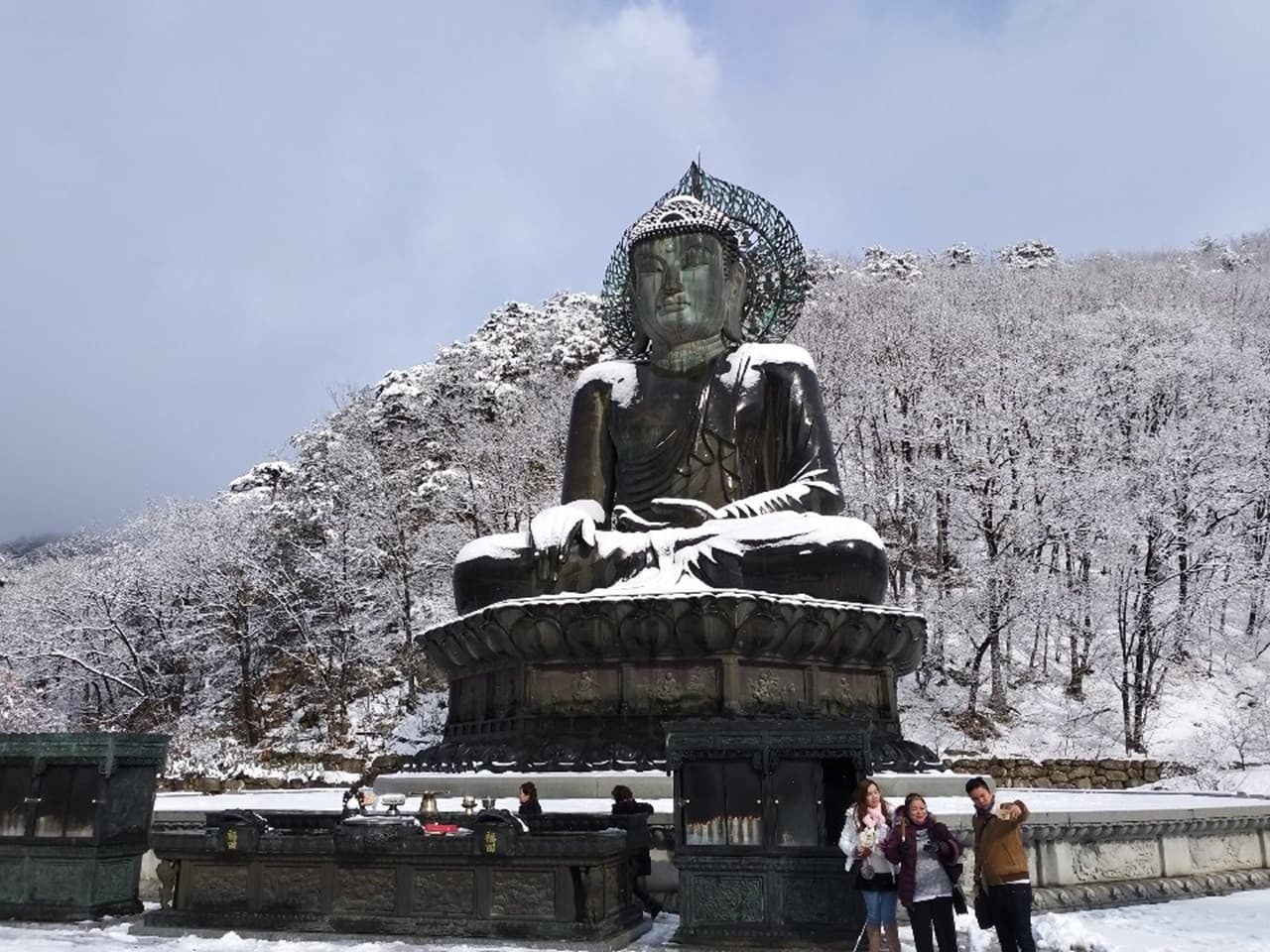 Nami Island, Mount Seorak, and Gapyeong Rail Bike Full-Day Tour from Seoul - სურათი 14
