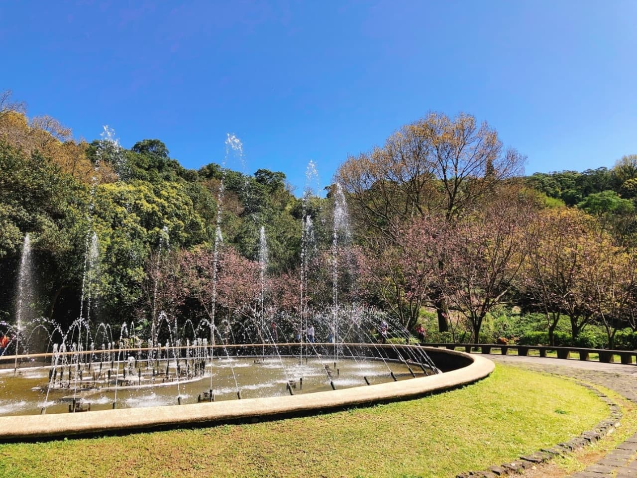 Yangmingshan National Park and Beitou Hot Spring Full-Day Tour from Taipei - სურათი 11