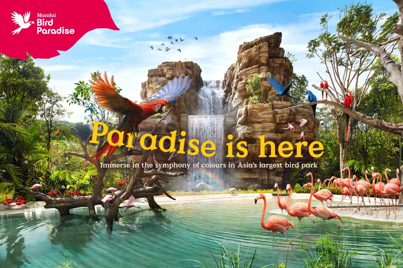 Singapore Bird Paradise Ticket - სურათი 15