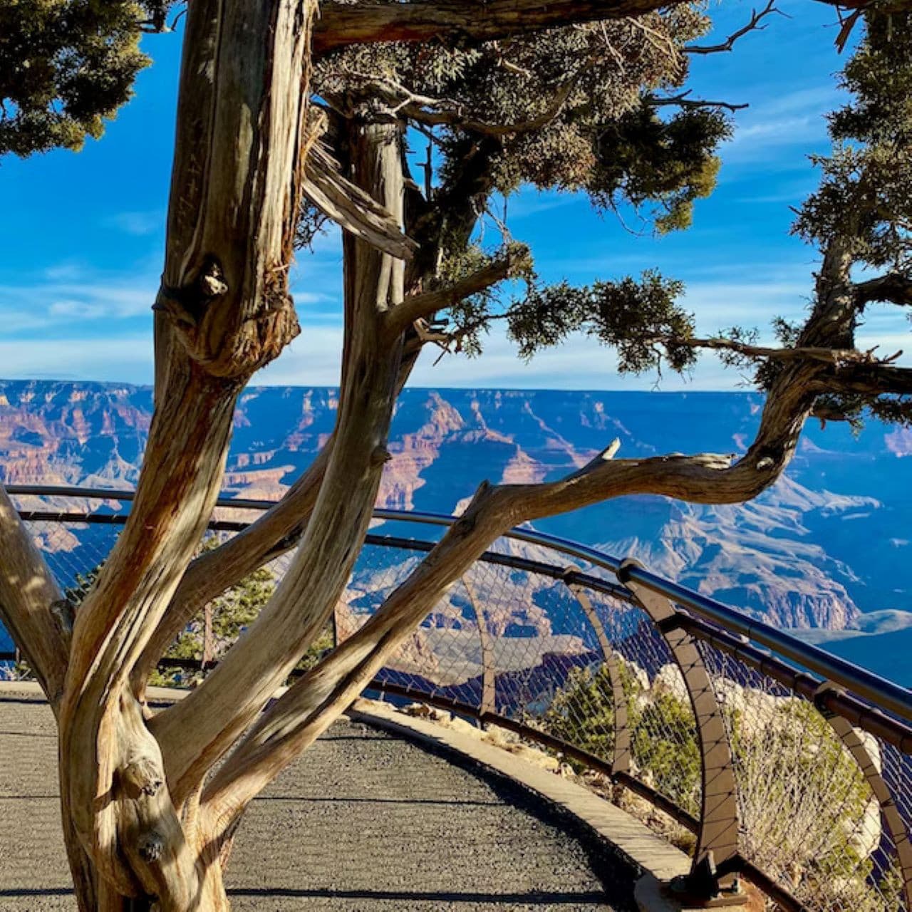 Grand Canyon National Park Tour from Las Vegas - სურათი 3