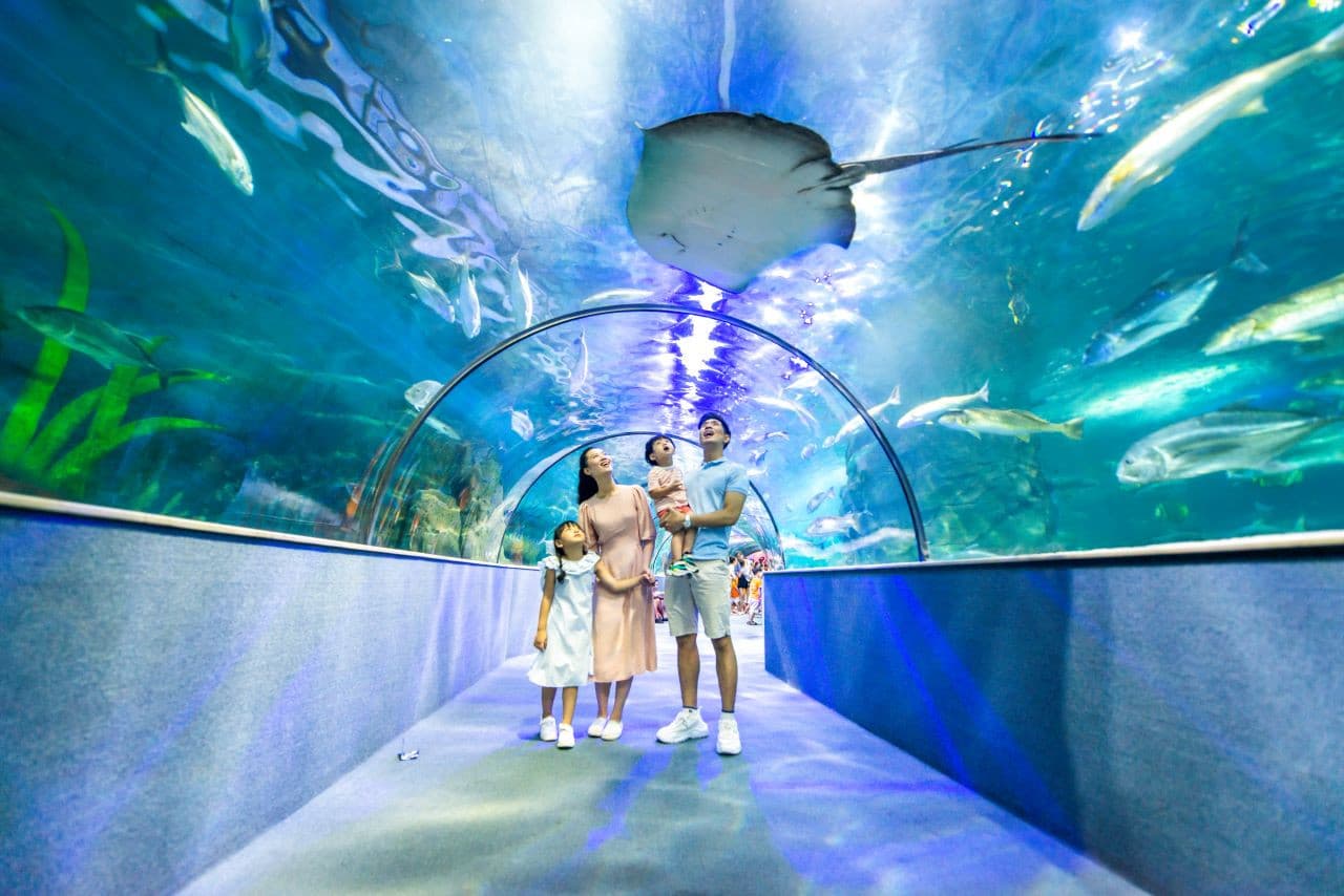 Vinpearl Aquarium Times City Hanoi Ticket - სურათი 2