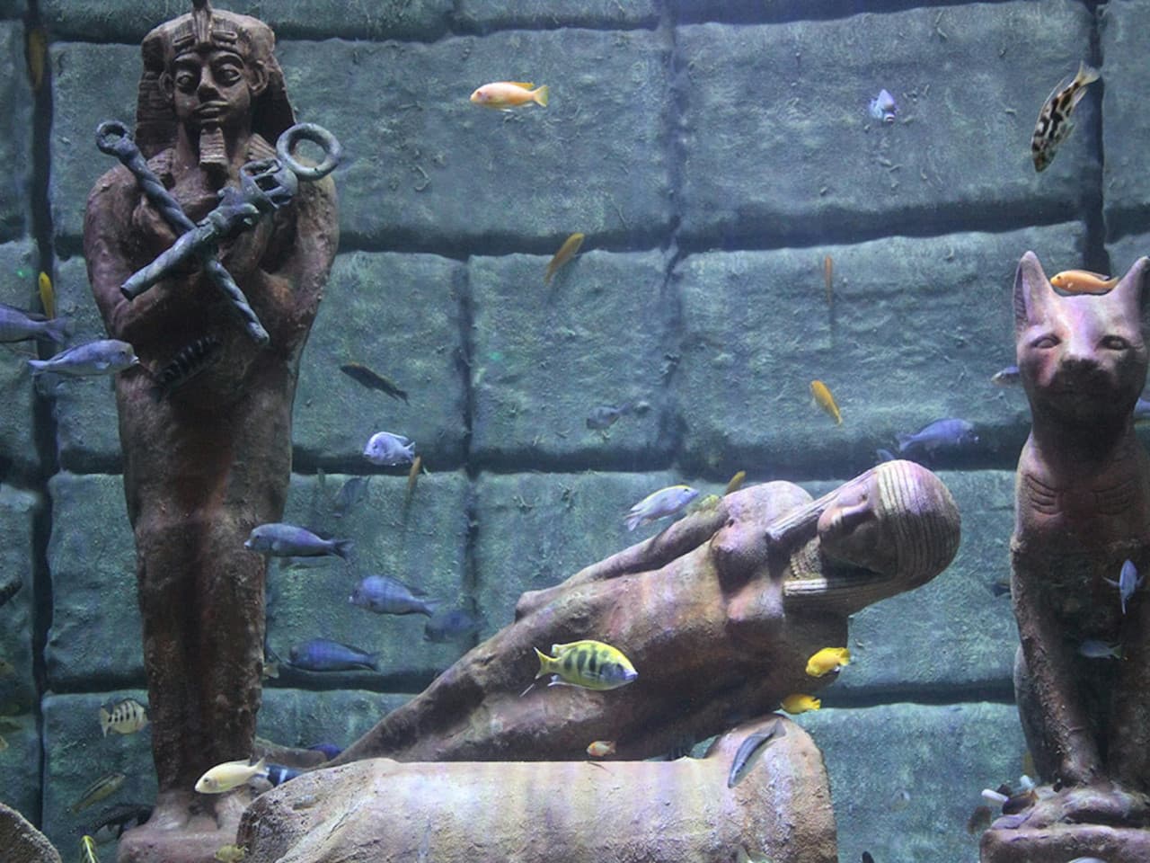 Antalya Aquarium and Face 2 Face Wax Museum Ticket - სურათი 4