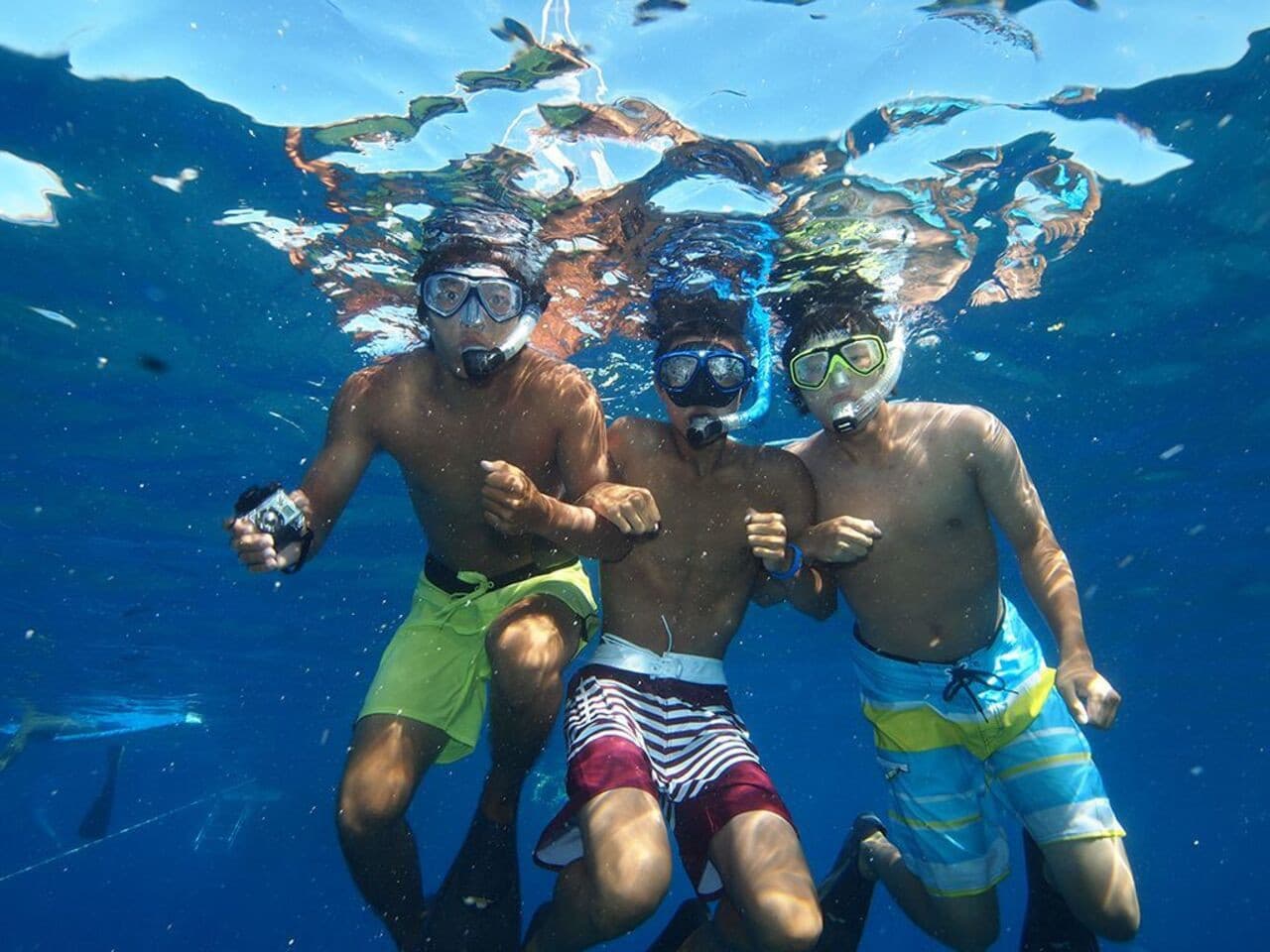 Nha Trang Island Hopping Tour - სურათი 2