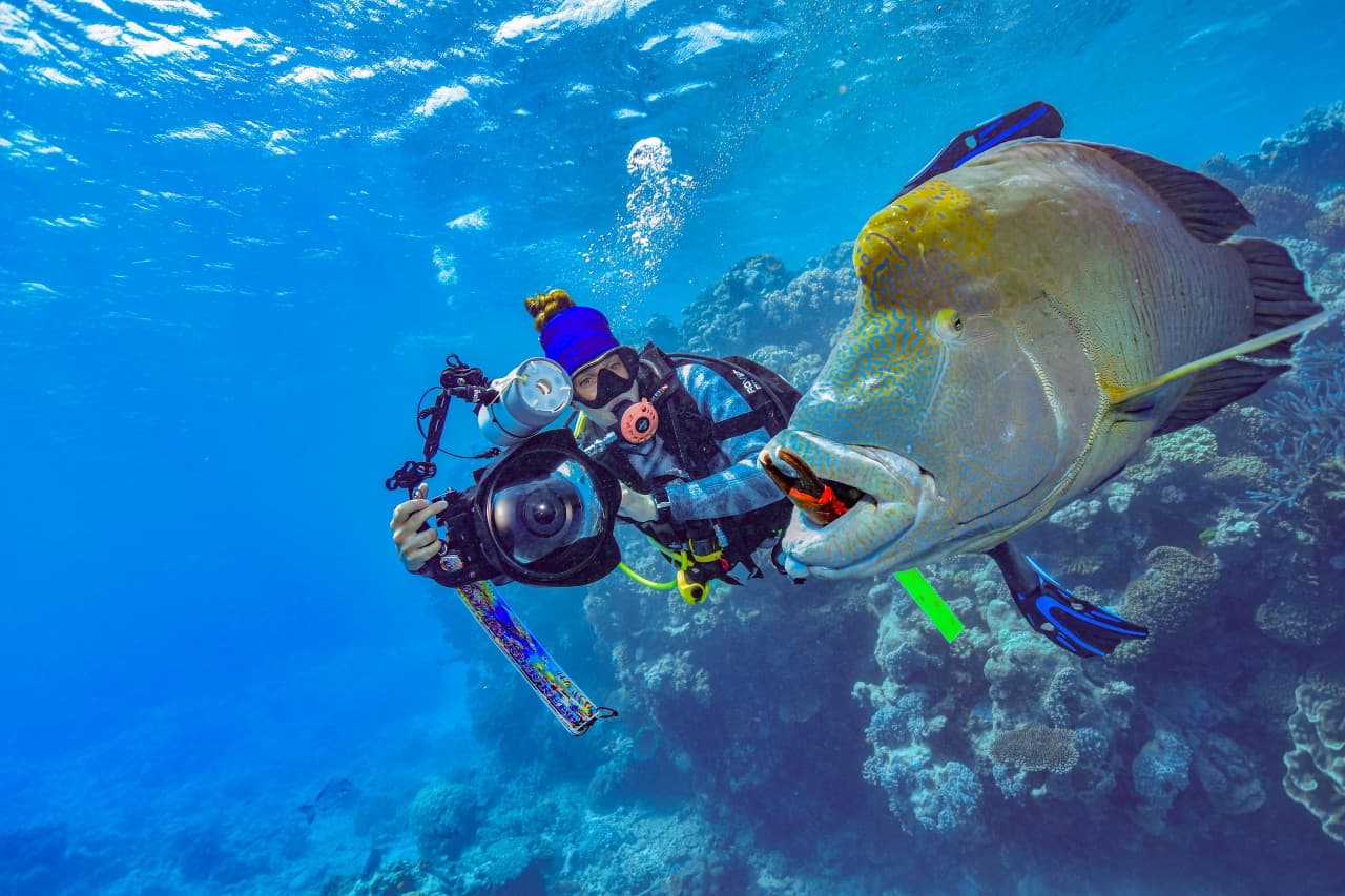 Reef Magic Pontoon Tour from Cairns - სურათი 12