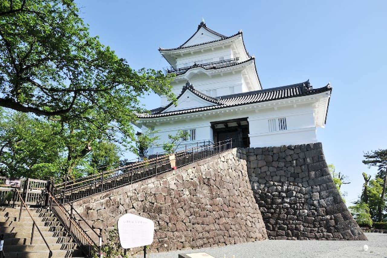 Odawara Castle Ticket - მთავარი სურათი