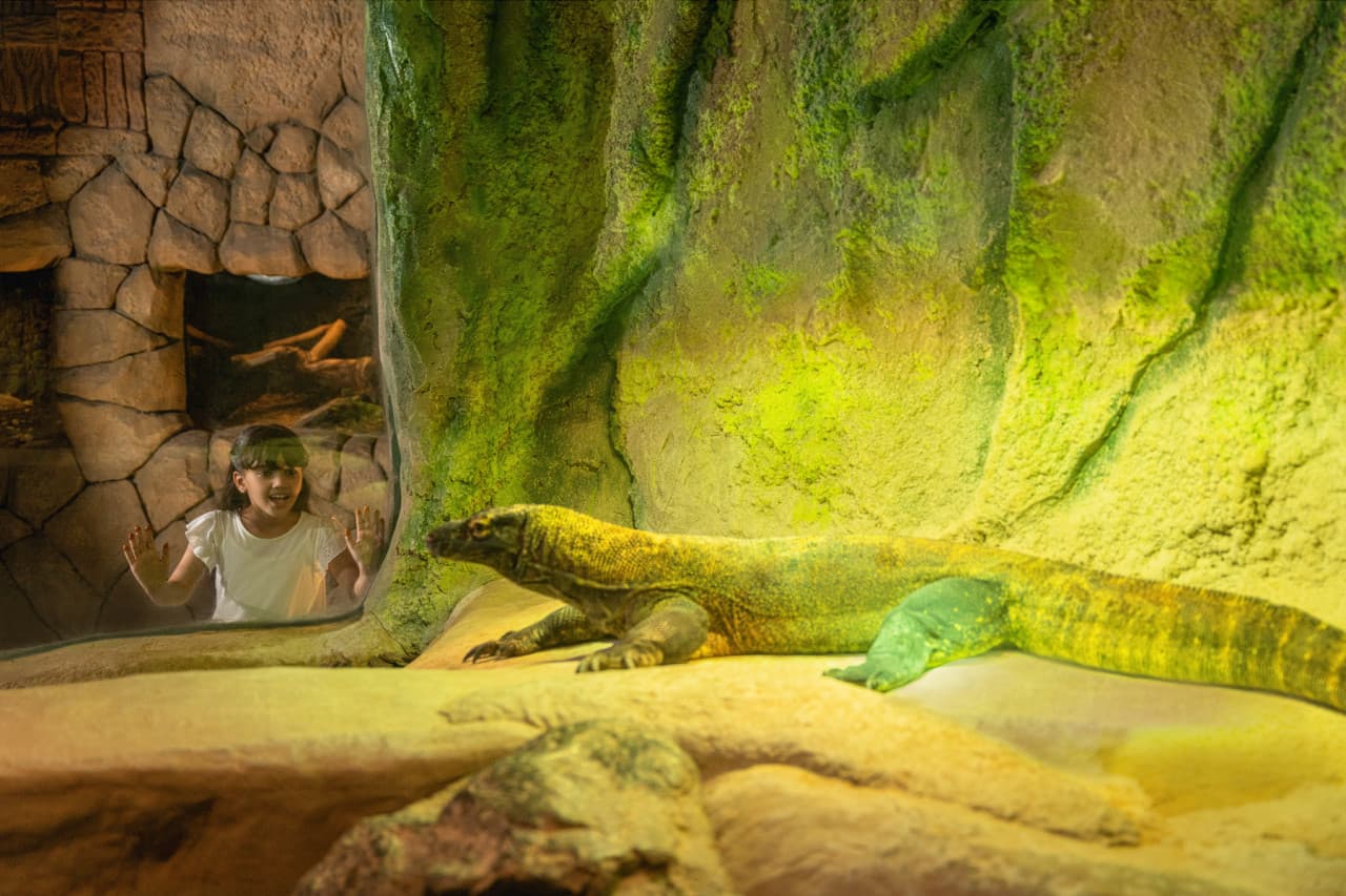 Dubai Safari Park Ticket - სურათი 15