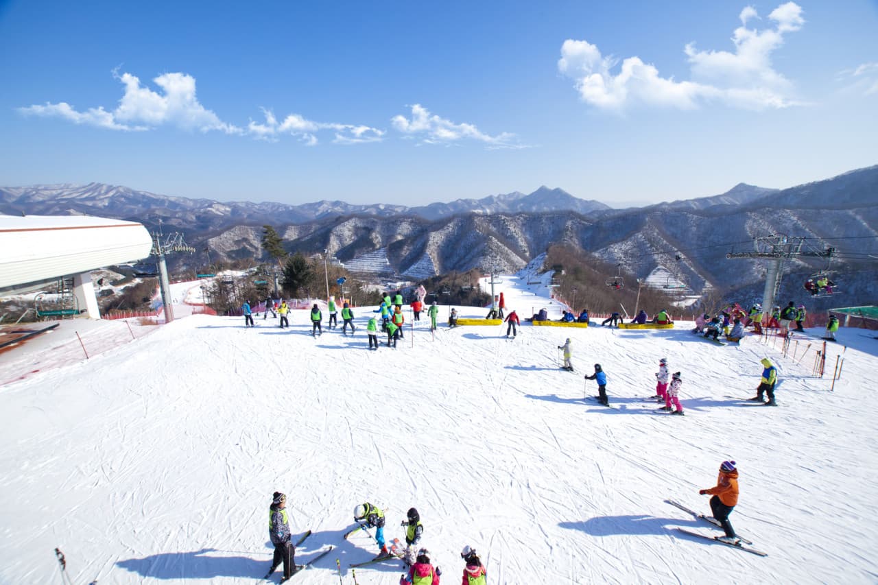 Elysian Gangchon Ski Resort and Nami Island Full-Day Tour from Seoul - სურათი 2