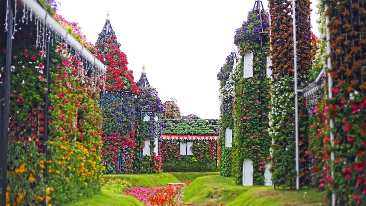 Dubai Miracle Garden Ticket - სურათი 7