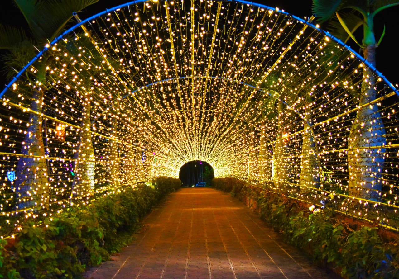 Okinawa Southeast Botanical Gardens - სურათი 17