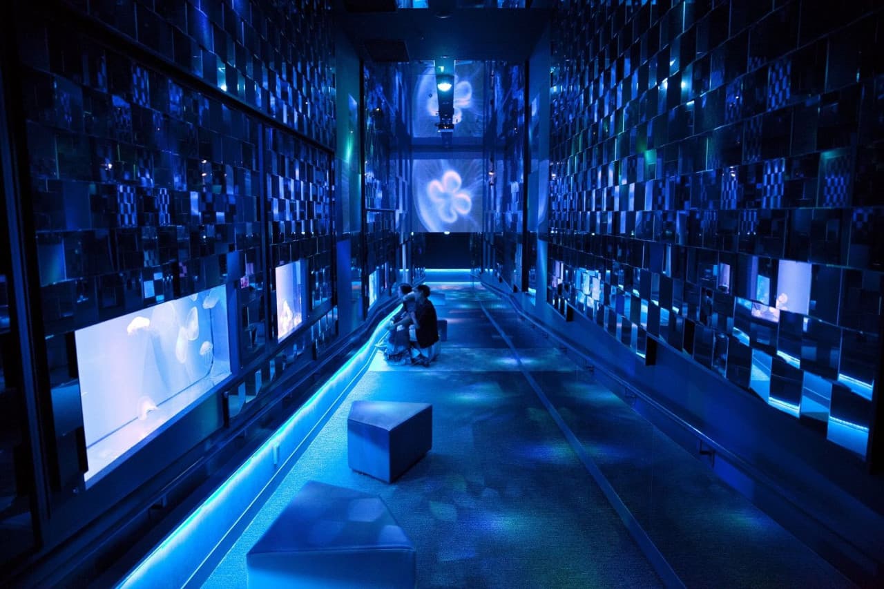 Sumida Aquarium Ticket - სურათი 11
