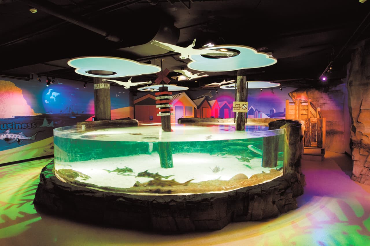 SEA LIFE Melbourne Aquarium Direct Entry Ticket - სურათი 15