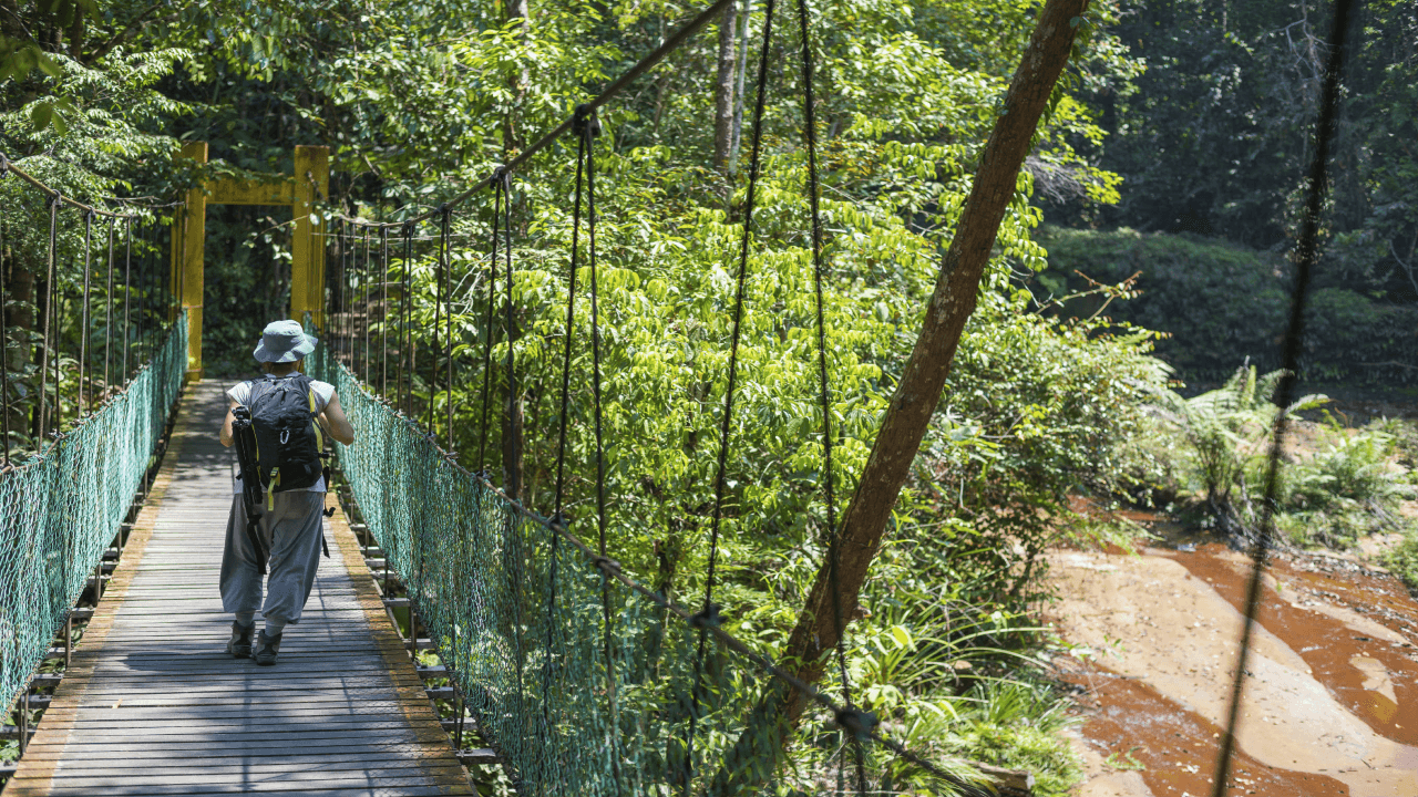 Taman Negara National Park Tour from Kuala Lumpur - მთავარი სურათი
