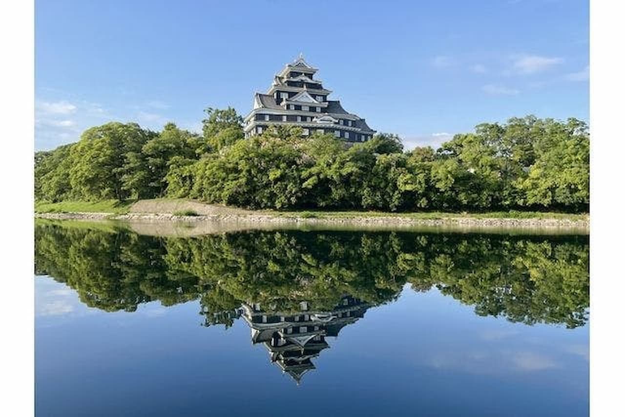 Okayama Castle Ticket - სურათი 2