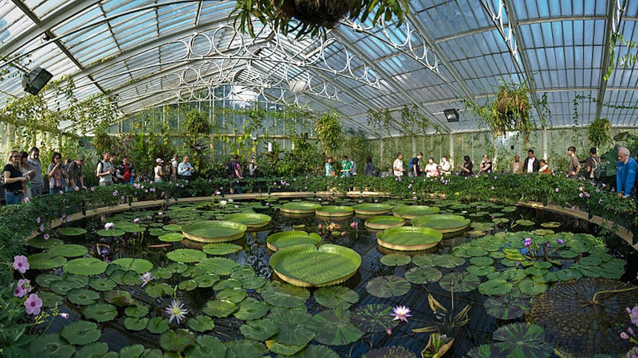Kew Gardens - სურათი 2