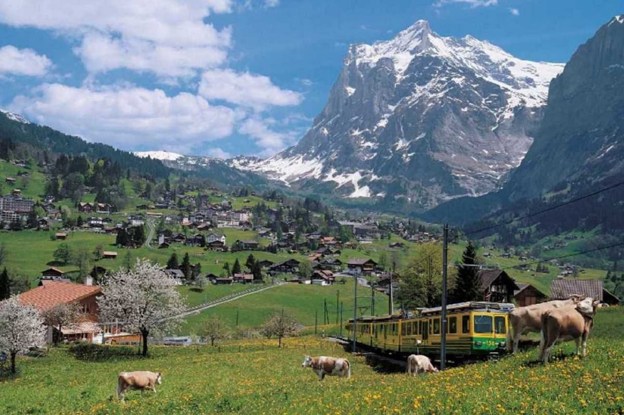 Grindelwald, Interlaken, and Lauterbrunnen Full-Day Tour - სურათი 2