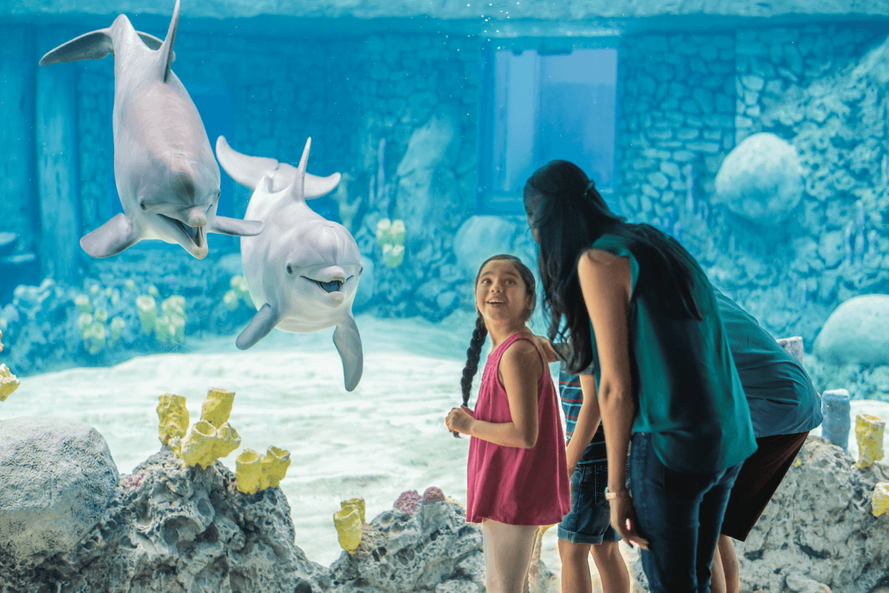 Go City San Antonio Essentials Pass: 3 Attractions - სურათი 6