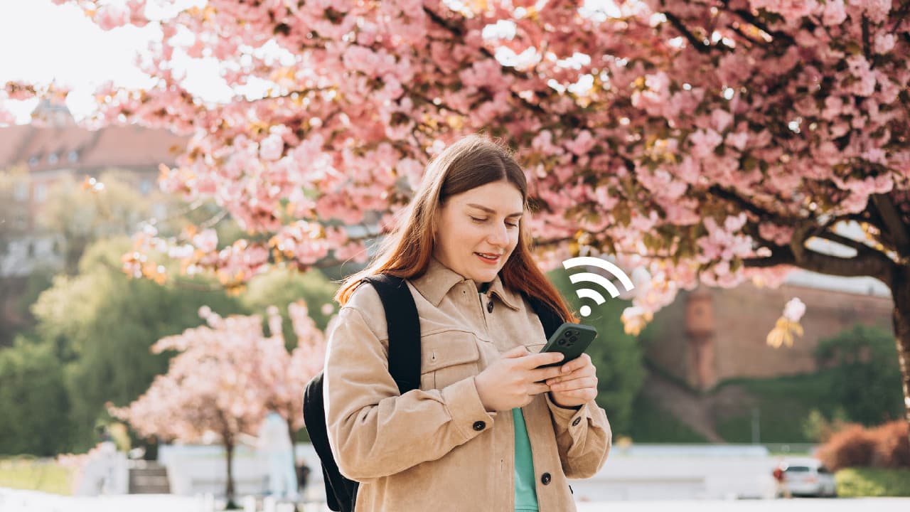 Osaka, Japan 4G Pocket WiFi Rental - სურათი 2
