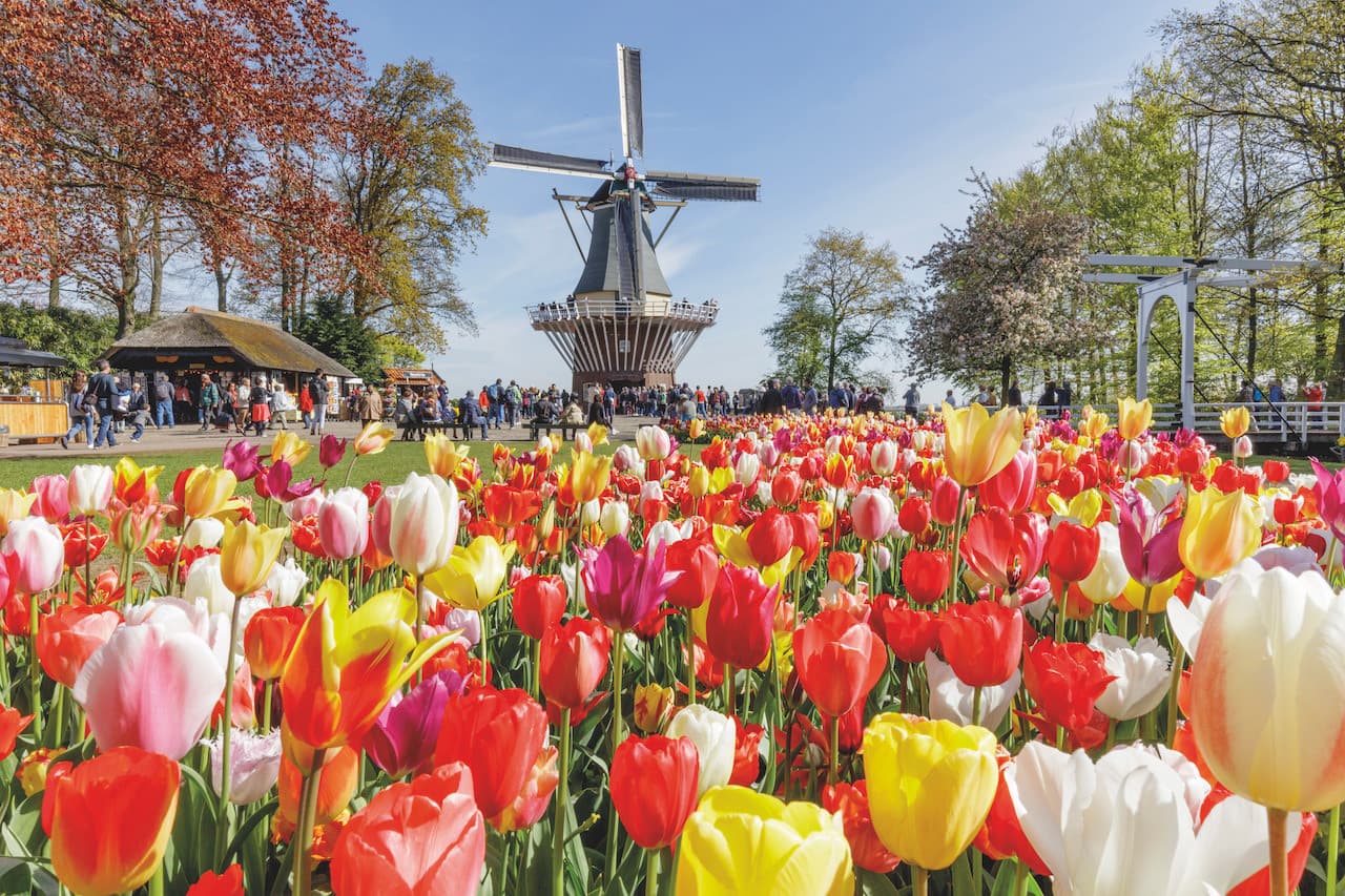 Go City Amsterdam All-Inclusive Pass: Save up to 50% on Attractions - სურათი 38
