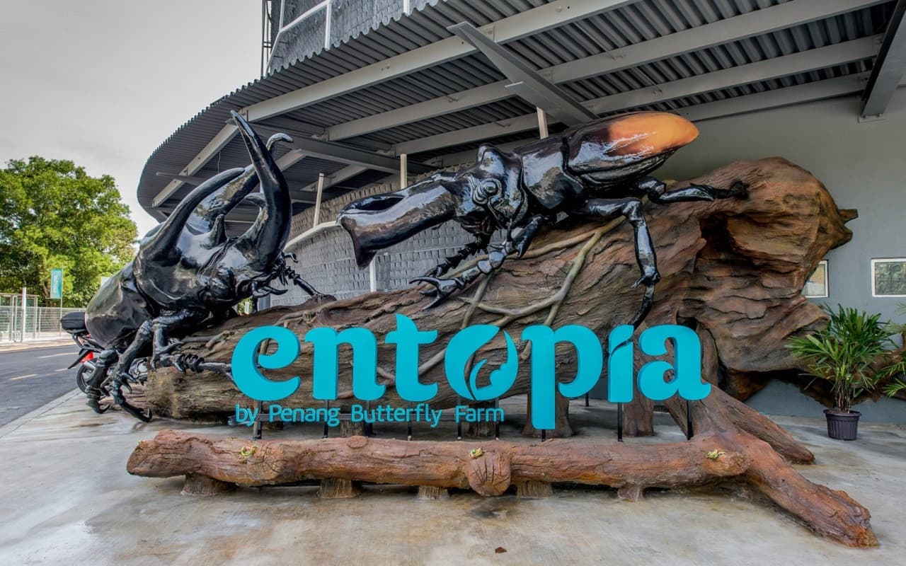 Entopia by Penang Butterfly Farm Ticket - სურათი 21