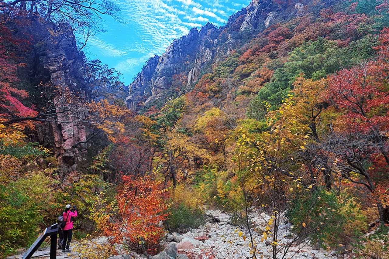 Nami Island and Mount Seorak Full-Day Tour from Seoul - სურათი 2