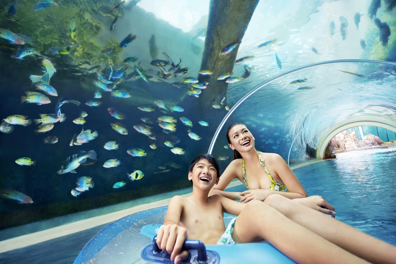 Adventure Cove Waterpark‎ Express Pass - სურათი 2