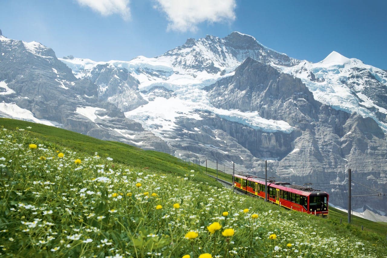 Jungfraujoch: Roundtrip Train from Grindelwald - სურათი 6