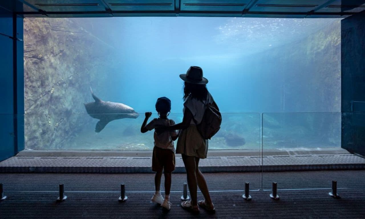 Taronga Zoo Ticket with Optional Round Trip Ferry - სურათი 6