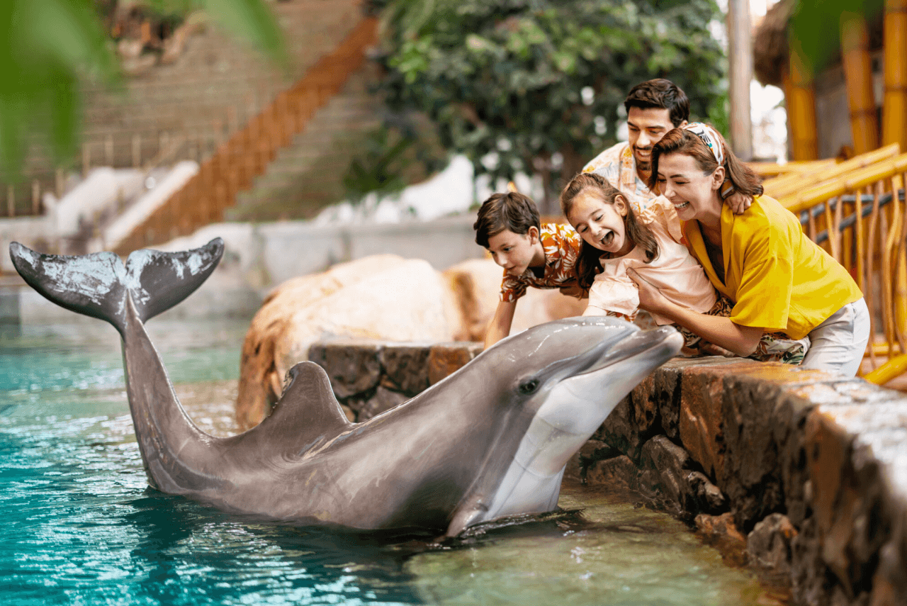 SeaWorld Abu Dhabi Ticket - სურათი 10