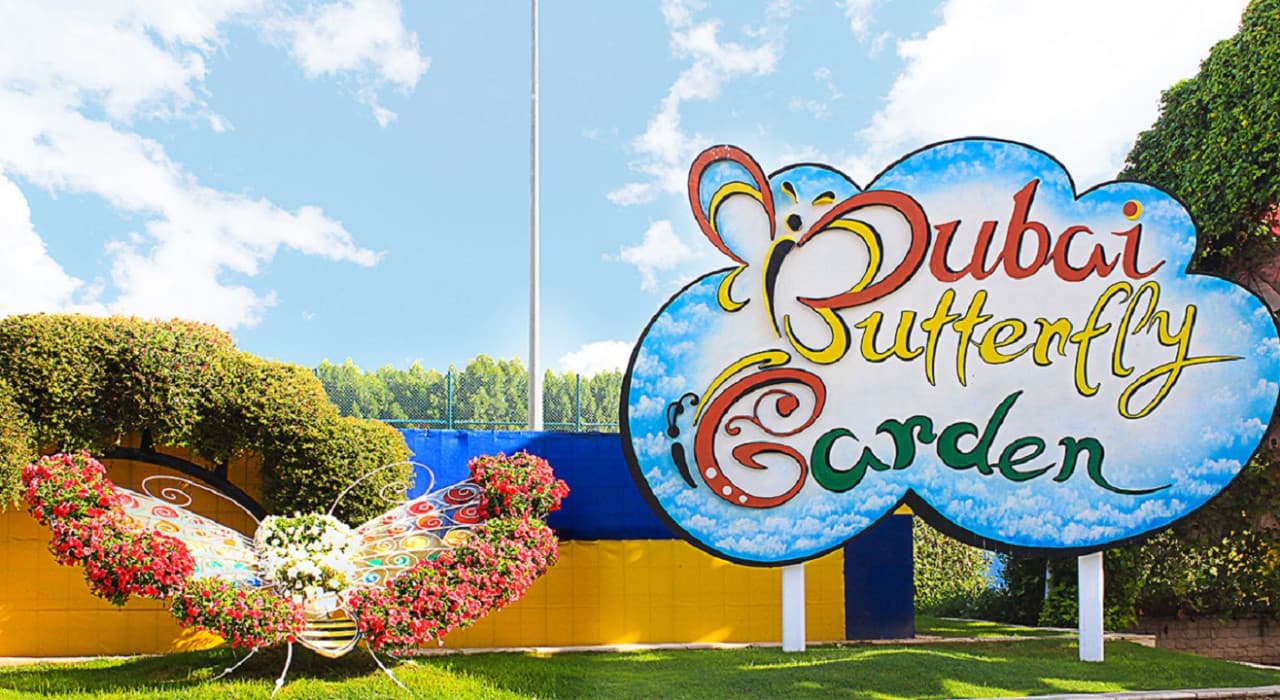 Dubai Butterfly Garden - მთავარი სურათი