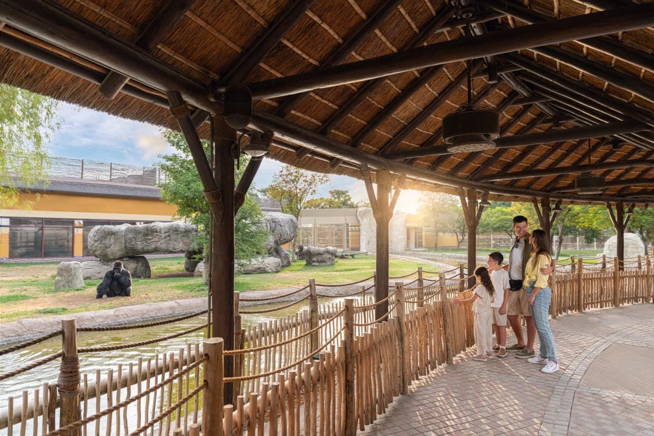Dubai Safari Park Ticket - სურათი 2
