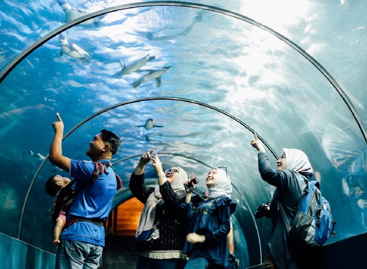 COMBO: Underwater World Langkawi + Crocodile Adventureland - მთავარი სურათი