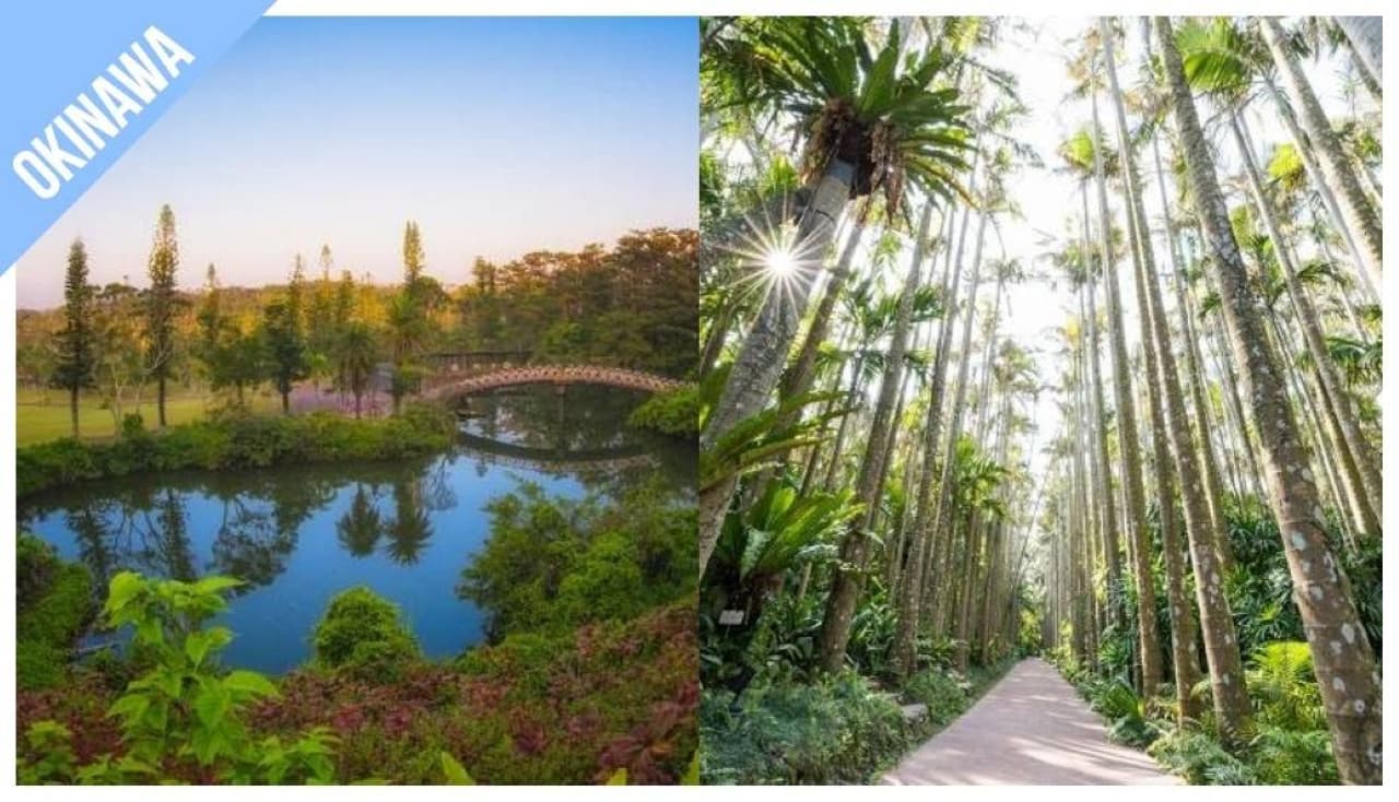 Have Fun in Okinawa Pass - 1 Week Free Pass - სურათი 5