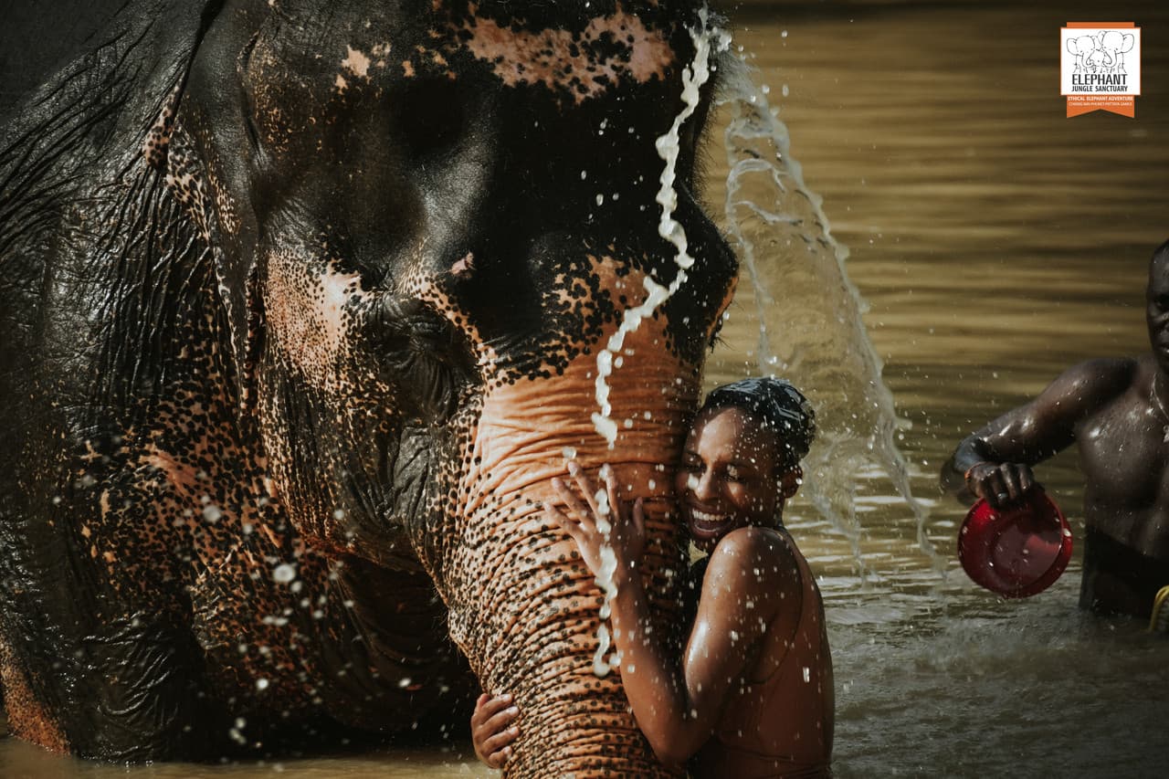 Elephant Jungle Sanctuary Phuket - სურათი 11