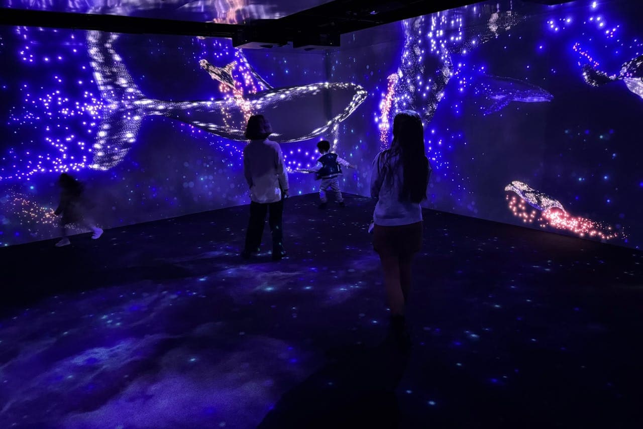 Oceanário de Lisboa Ticket - სურათი 16