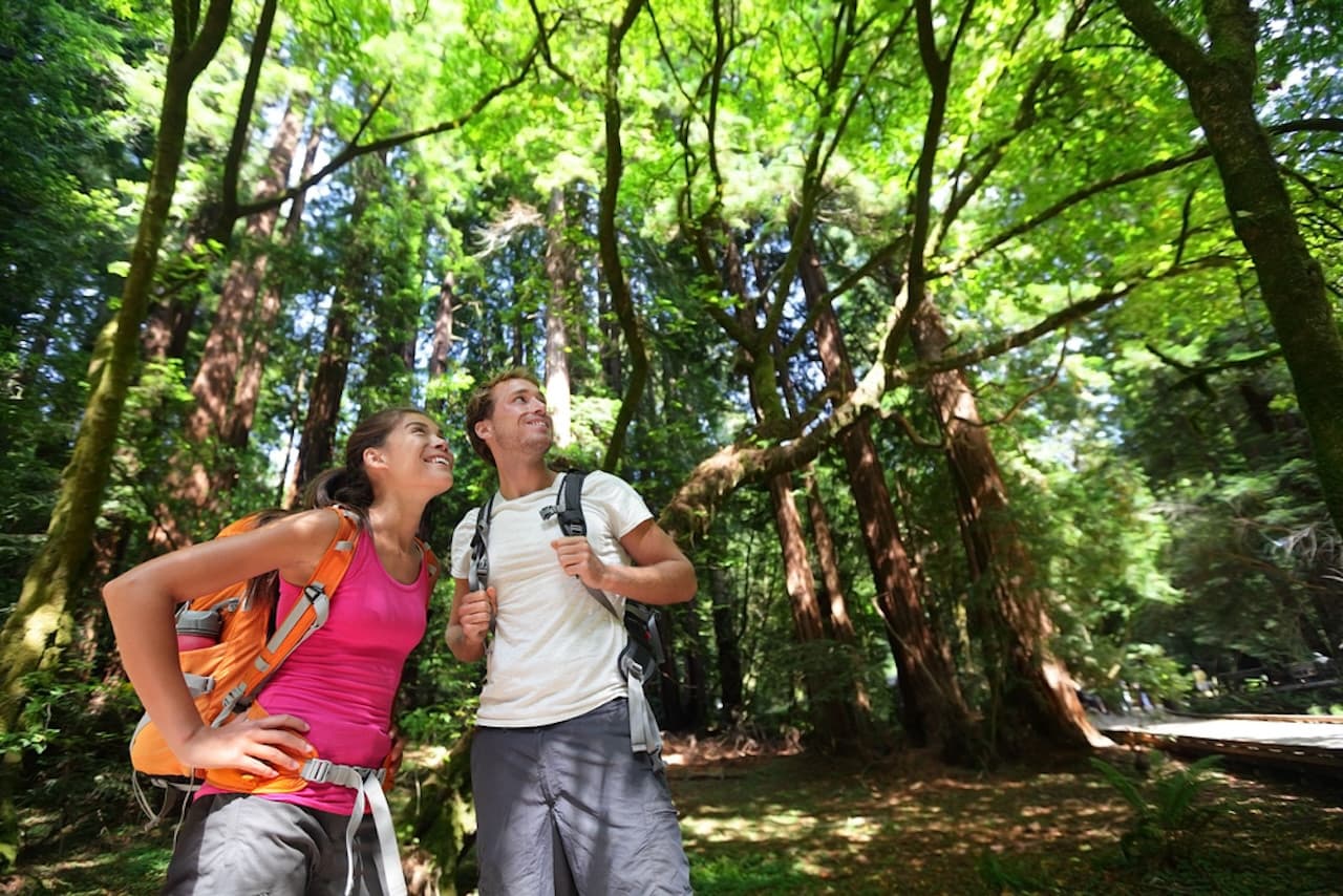 Muir Woods and Sausalito Tour from San Francisco - სურათი 2