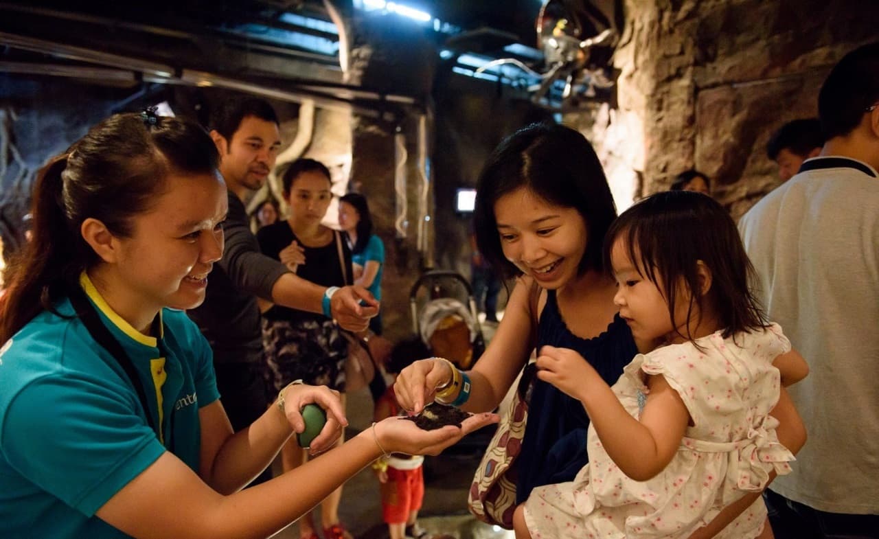 Entopia by Penang Butterfly Farm Ticket - სურათი 13