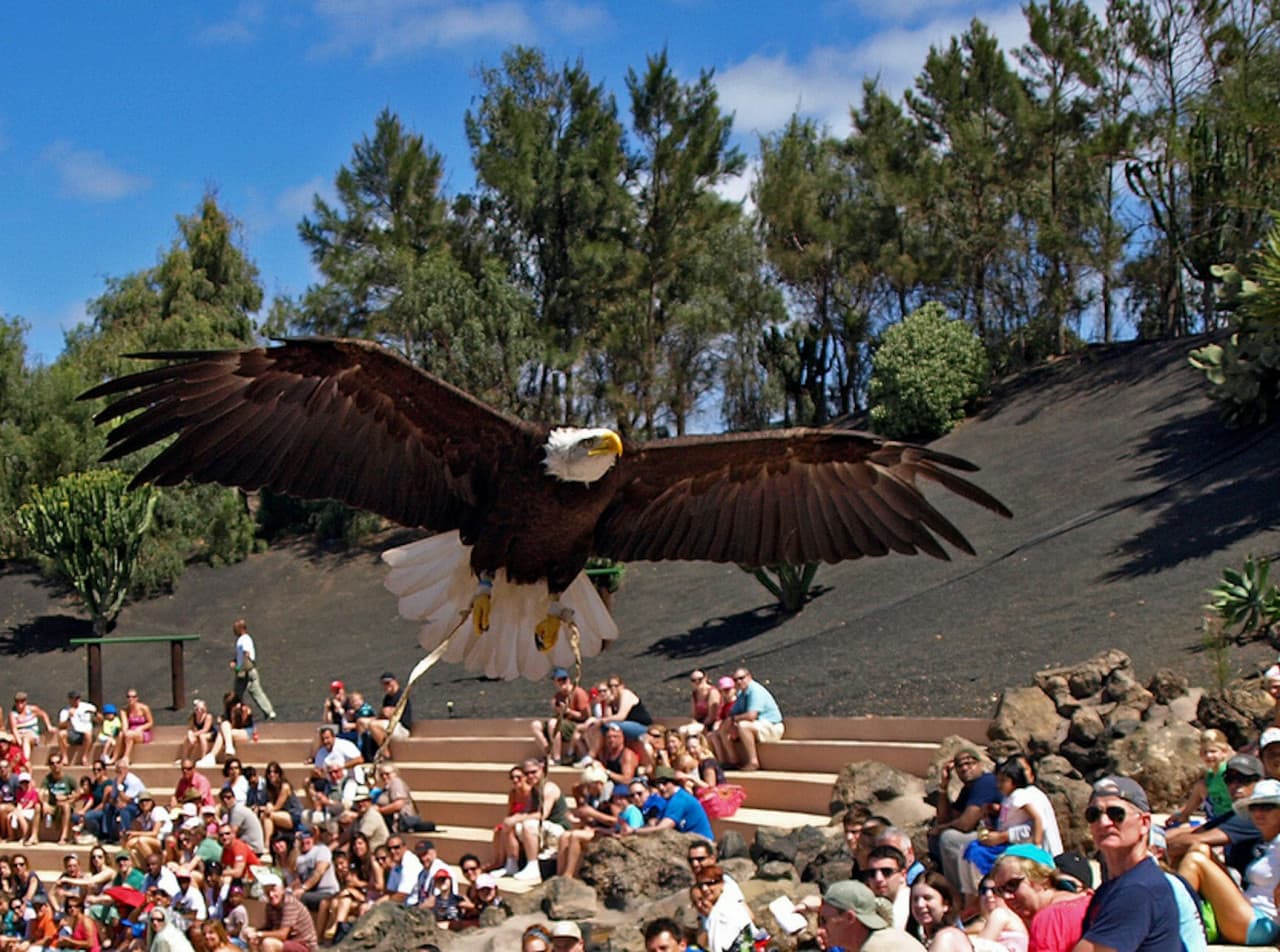 Rancho Texas Lanzarote Park Ticket - სურათი 8