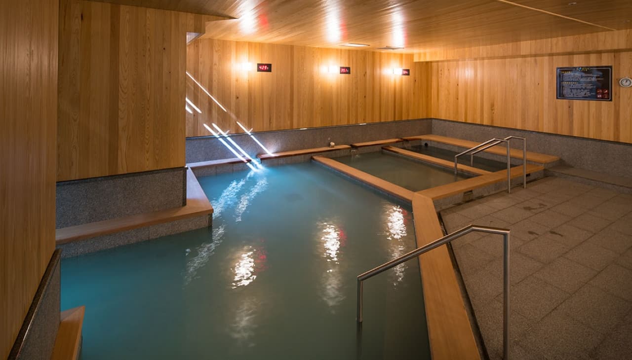 Public Hot Spring Experience at Asia Pacific Hotel Beitou - სურათი 6