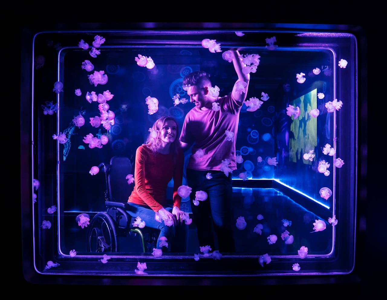 COMBO: Madame Tussauds London + SEA LIFE London Aquarium Ticket - სურათი 9
