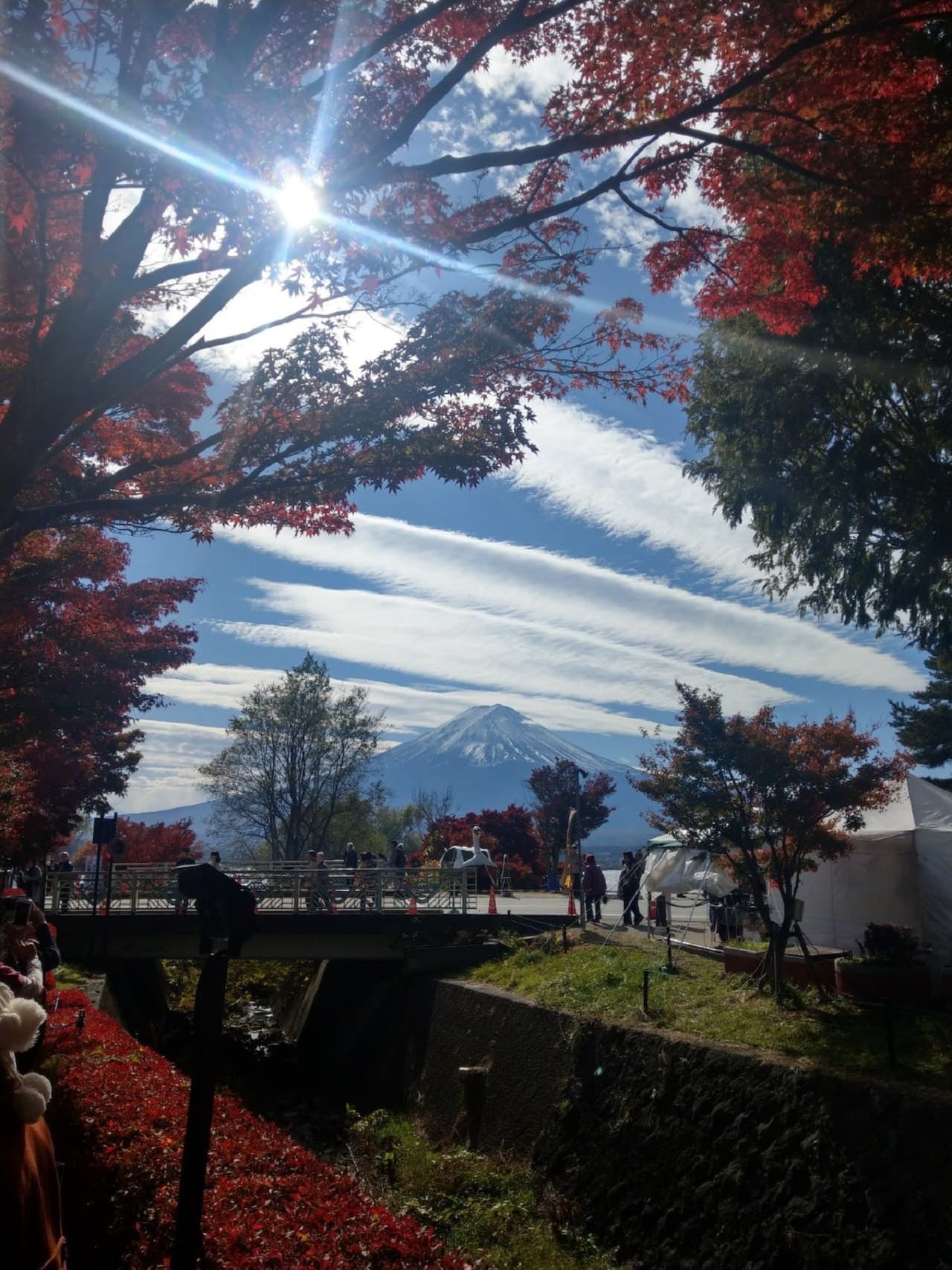 Mount Fuji Day Tour with Kawaguchiko Lake - სურათი 3