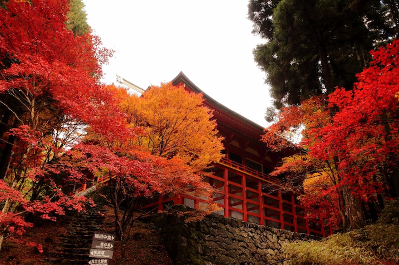 Enryaku‐ji Temple Ticket - სურათი 2