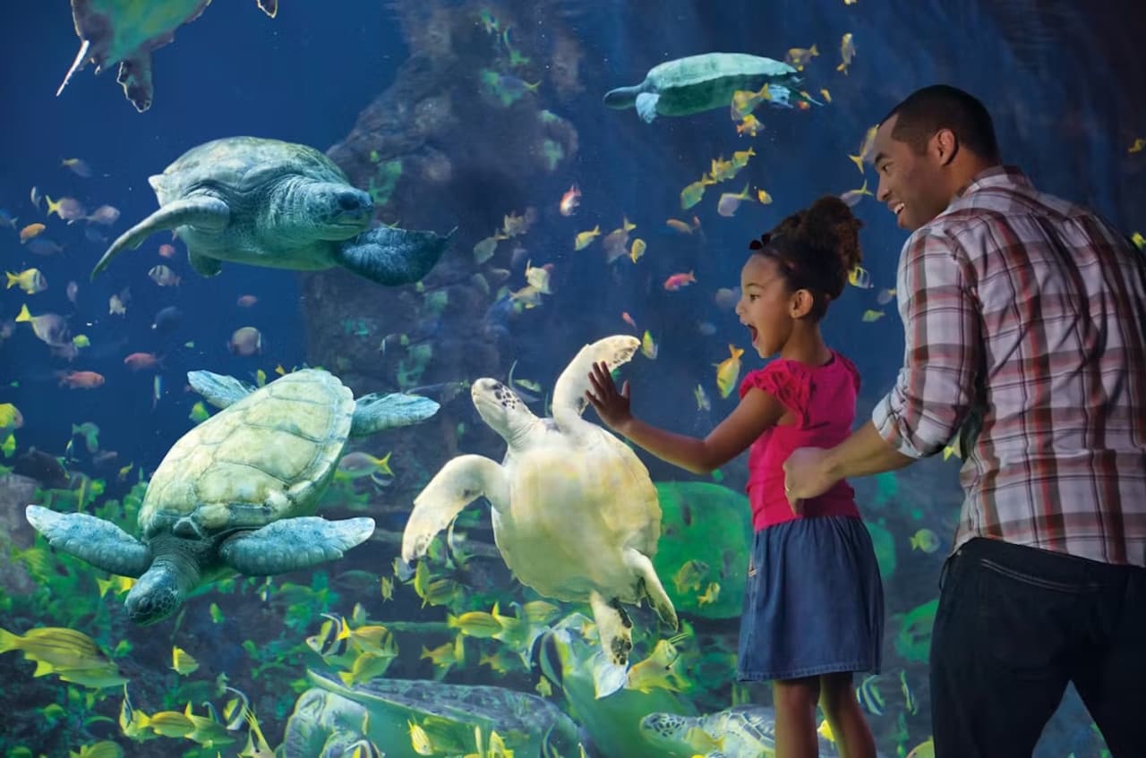 SeaWorld San Diego Ticket: Direct Entry - სურათი 10